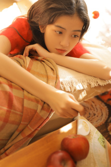 完美的妻子
